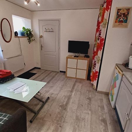 Studio Cosy Tout Confort Gaillac Centre. Ngoại thất bức ảnh